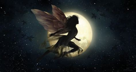 Night Fairy Fairies Fan Art 39893941 Fanpop