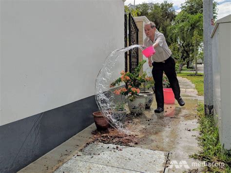 There are several telltale signs of flood damage in homes and cars. 'Worst flash floods in 30 years': Bedok resident | Local ...