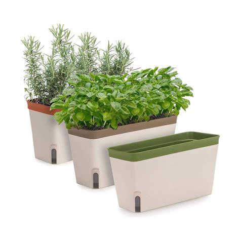 Windowsill Gardening Kits To Kick Start Your Green Thumb Southern Living