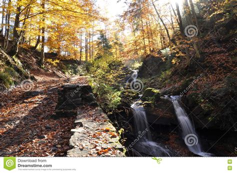 Source Vistula Crystalline Stream Clean Water Stock Image Image Of