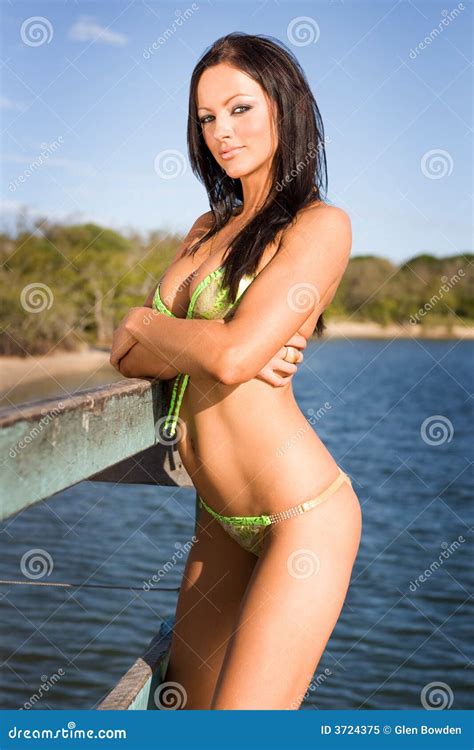 Brunette Bikini Model Stock Image Image Of Swimsuit Girl 3724375