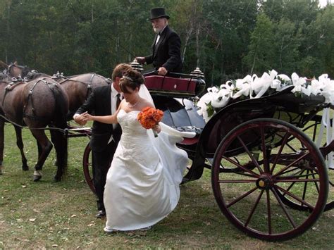 30 Interesting Facts About The Amish You Probably Didnt Know