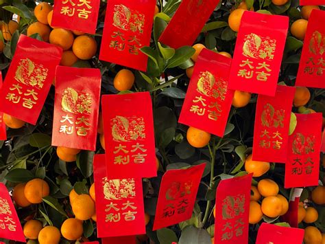 7 Chinese New Year Traditions To Fill Your Holiday With Joy Luck And