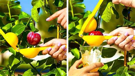 33 best gardening hacks you ll be glad to know youtube