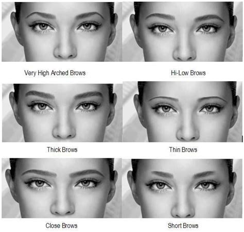 touched by colour s photos touched by colour facebook types of eyebrows different eyebrow