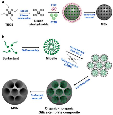 Mesoporous Silica Nanoparticles As A Gene Delivery Platform For Cancer