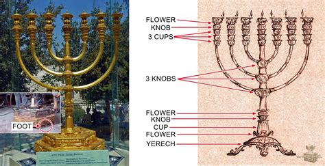 The Vessels Temple Institute