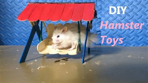 Diy Toys For Hamsters Youtube