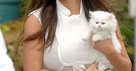 Kim Kardashian Names New Kitten After Kanye Wests Song Mercy Us Weekly