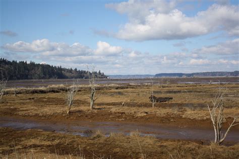 Thrifty Thurston Explores Billy Frank Jr Nisqually National Wildlife