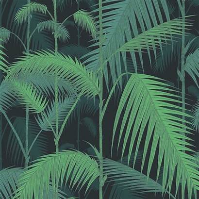 Jungle Palm Cole Son Peint Papier
