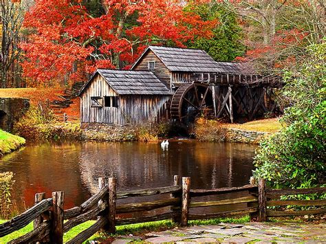 Forest Mill Mill Fall Colors Autumn Nature Watermill Water Hd