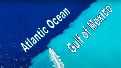 Gulf Of Mexico Meets Atlantic Ocean Divided Waters Catch Clean