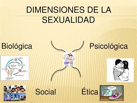 componentes de la sexualidad y las relaciones interpersonales
