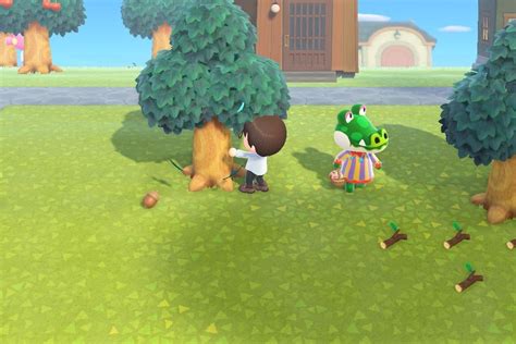 Animal Crossing Fall Season Changes How To Get Pine Cones Acorns And