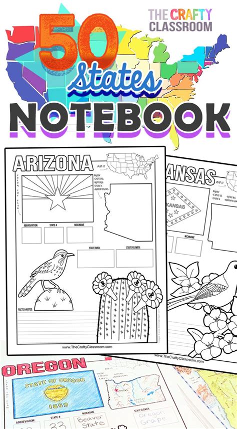 50 States Activity Notebook 50 States Activities Homeschool Social