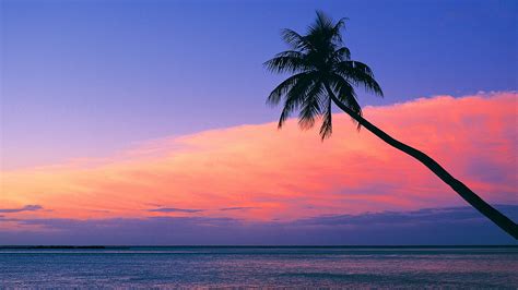Look At The Pink Sunset From The Beach Wallpaper Beach
