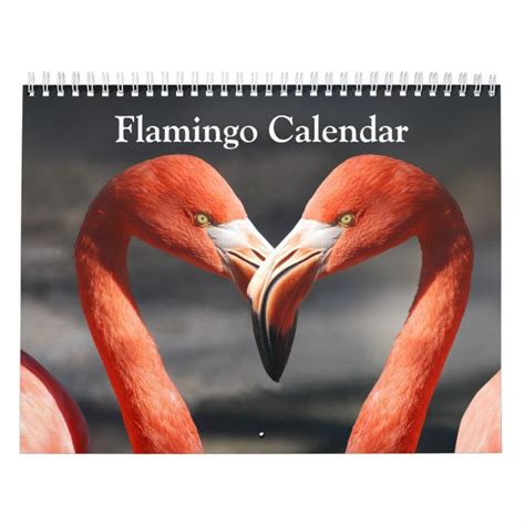 Flamingo Calendar 2020 Uk