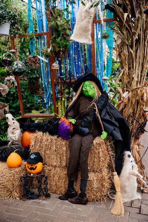 Halloween Witch | Holiday inspiration, Halloween witch, Holiday