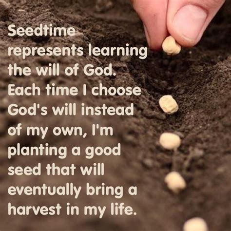 Mustard Seed Bible Quote Inspiration