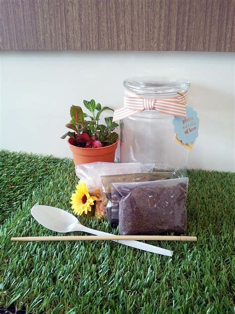 Redefine learning with smart diy terrarium kits found only at alibaba.com. DIY Terrarium Kit | Little Green Pot