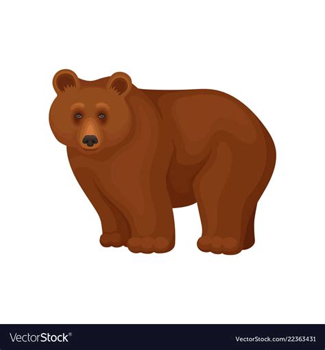 Cartoon Character Large Brown Bear Standing On Vector Image