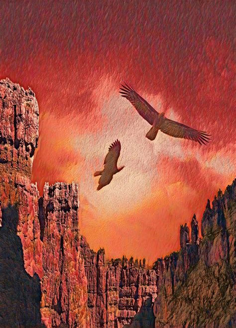 Hawk Eagle Desert Free Image On Pixabay