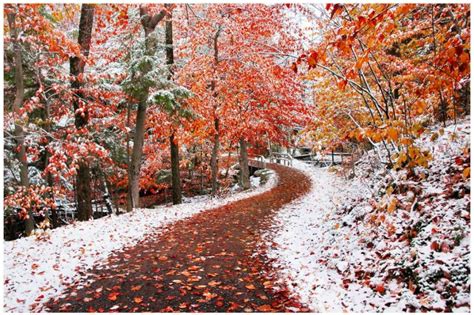 Fall Winter Background Wallpaper Fall Winter Wallpaper New Jersey Isn