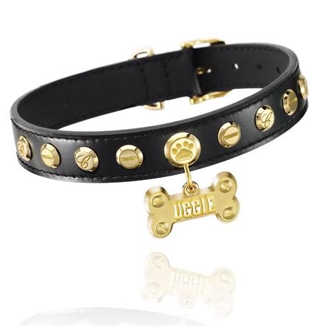 Leather And Gold Dog Collar By Chopard Pet Shop Puppy Starter Kit Oscar