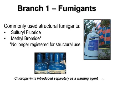 All persons applying to take the license exam must submit a criminal background check with your 9 page application. PPT - Structural Pest Control Board Licensing 2005 ...