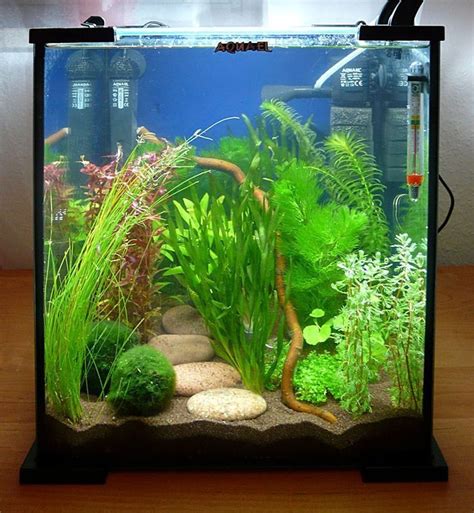 Image Result For Aquarium Design Betta Aquarium Tropical Fish Tanks