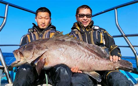 巨大アラ捕獲、25キロ！！ えびす丸 五島列島（宇久島）古志岐三礁の渡船・瀬渡し