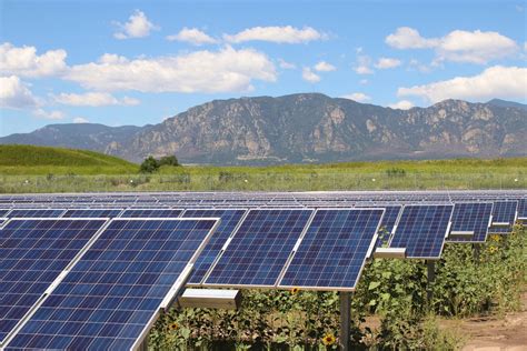 Our Solar Gardens In Denver Co Sunshare