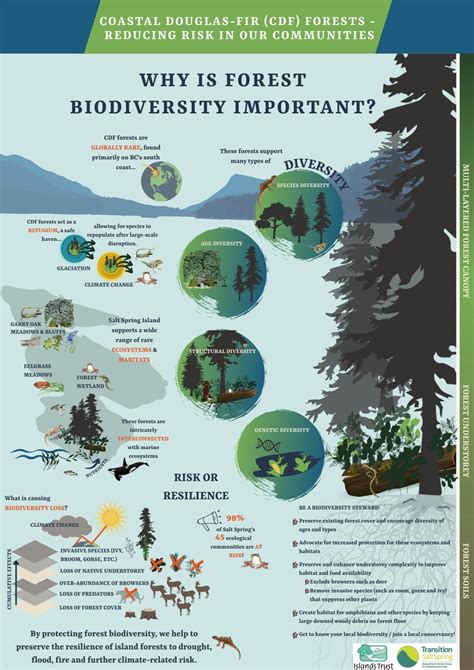 Infographic Why Is Forest Biodiversity Important Dev Transition