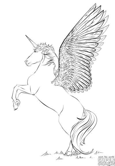 Real Unicorn Drawing Draw Spaces