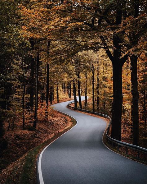 Winding Road Through The Autumn Paradise This Colors Could Stay The