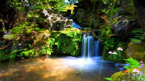 We provide direct please be aware that. Just Paradise Animated Wallpaper http://www ...