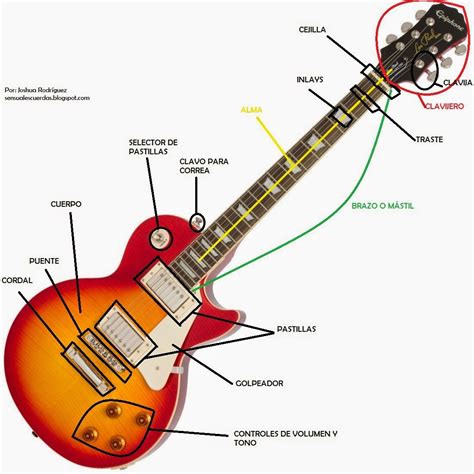 ¿guitarrista Principiante Partes De La Guitarra