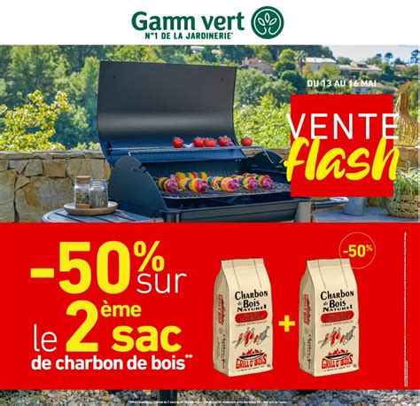 Charbon De Bois Sur Le Eme Copal Gamm Vert