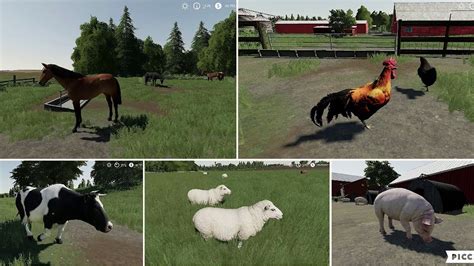 Farm Animals Names And Sounds Farming Simulator Faming In Fs19