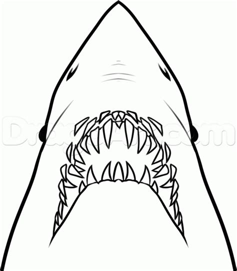 Shark Jaw Vector At Getdrawings Free Download