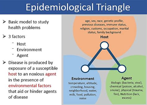 The Evolution Of Epidemiology Timeline Timetoast Timelines