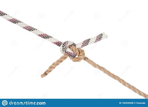 Rigger S Bend Knot Joining Two Ropes Isolated Stock Photo Image Of
