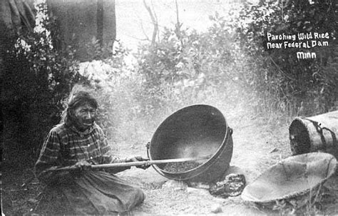 parching wild rice native people native american history university of minnesota
