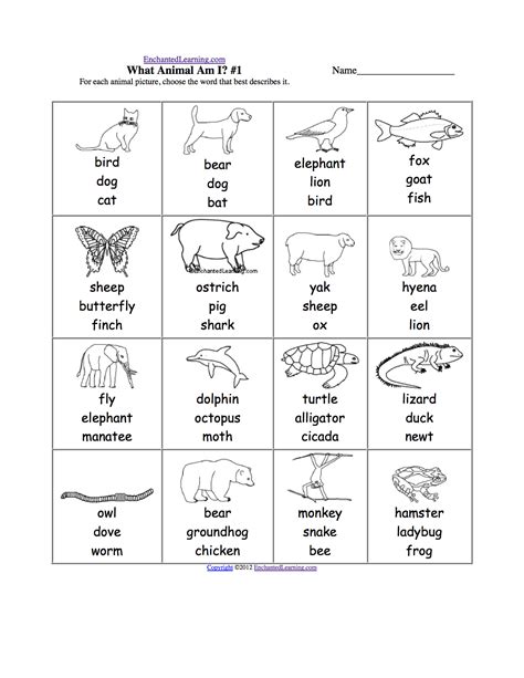 Animal Spelling Worksheets At