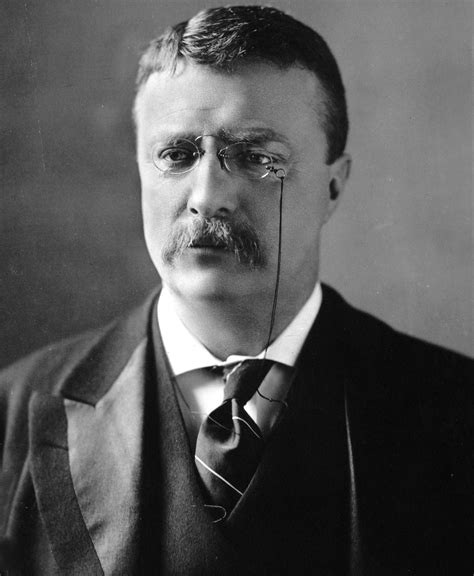 Filetheodore Roosevelt Circa 1902 Wikipedia
