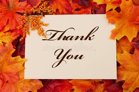 Thank You Stock Photo Image Of Leaves Seasonal Message 45381340