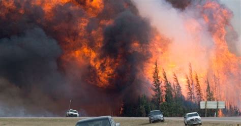 248 (larger than 0.01 hectares). Summer 2017 forecast predicts higher risk of forest fires ...