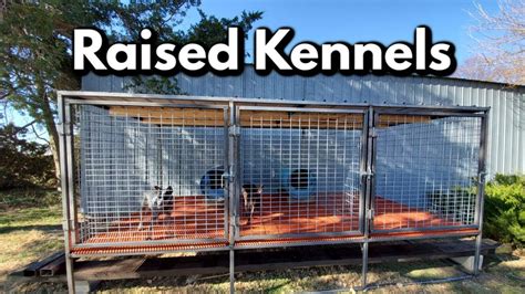 Professional Raised Dog Kennel Build Youtube