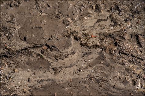 Maybe you would like to learn more about one of these? Muddy vs. Clear... on Behance